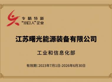 國家專精特新“小巨人”企業(yè)